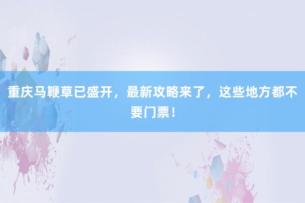 重庆马鞭草已盛开，最新攻略来了，这些地方都不要门票！