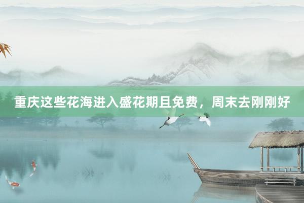 重庆这些花海进入盛花期且免费，周末去刚刚好