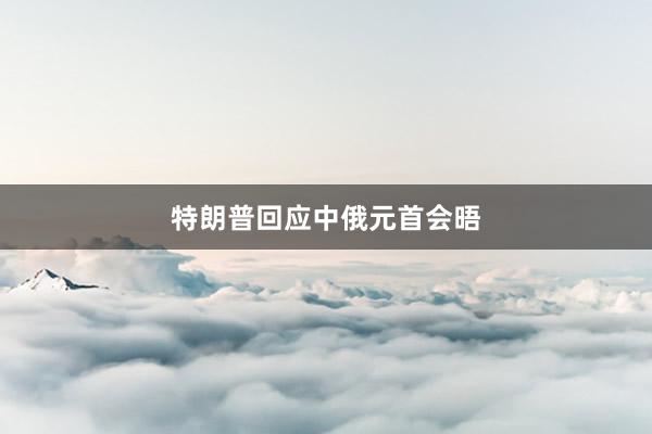 特朗普回应中俄元首会晤