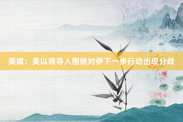 美媒：美以领导人围绕对伊下一步行动出现分歧